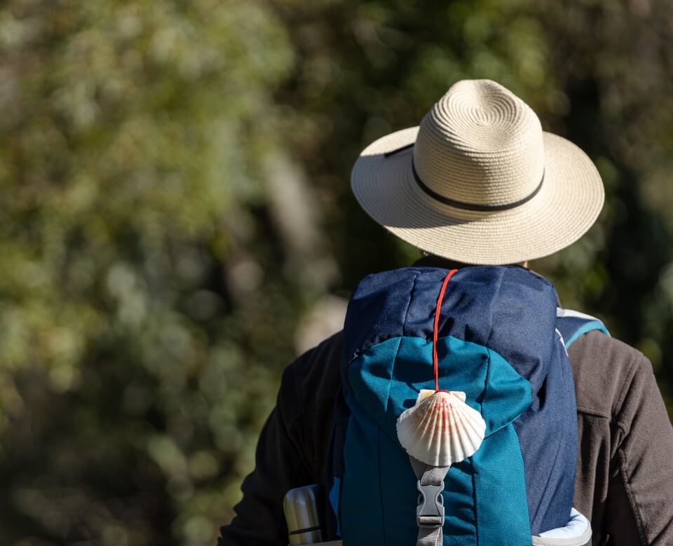 Le Bel Air campsite in the Lot is offering a “PILGRIM FRIENDS” package comprising one night’s accommodation and half-board at the campsite